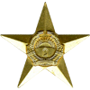 Орден «Звезда» I степени