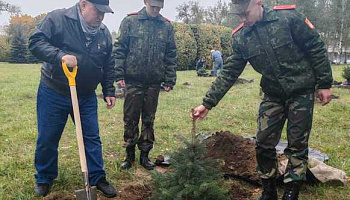 Аллея в честь ветеранов войны в Афганистане появилась в Минске